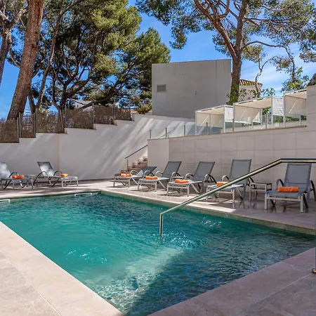 مورلانز باغيرا